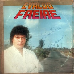 Evaldo Freire - Tenho Outra