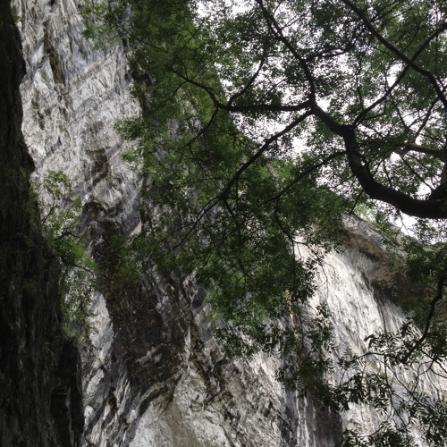 One Riff Around The World