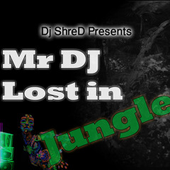 Mr Dj Lost in the jungle