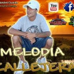 cricri2
