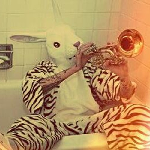 Down The Rabbit Hole