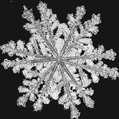 Sijo_280412 "der Schnee kommt" for piano solo(2012)