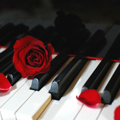 BEN FOLDS FIVE - SKY HIGH