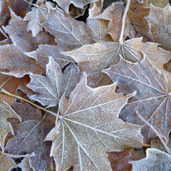 Chasin - Sander Van Doorn (Lawrence Perfitt Remix)