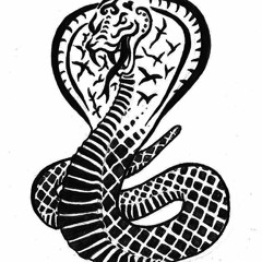 Cobra