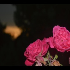 Faizal Tahir - coba (cobaan)