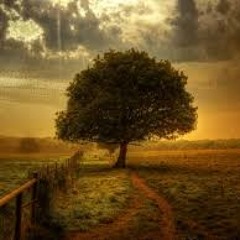 DesireInap4 (10 Minutes) by wikiwalet