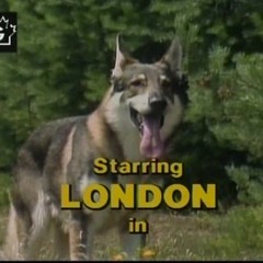 Littlest Hobo 2006 - Noematus-Hardcore-A to B Repeat Mix