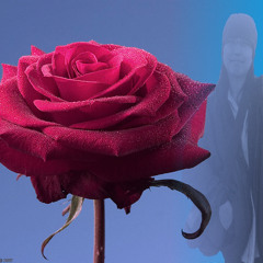 မေမ.ပါနဲ. (စိုင္းဆိုင္ေမာ၀္)