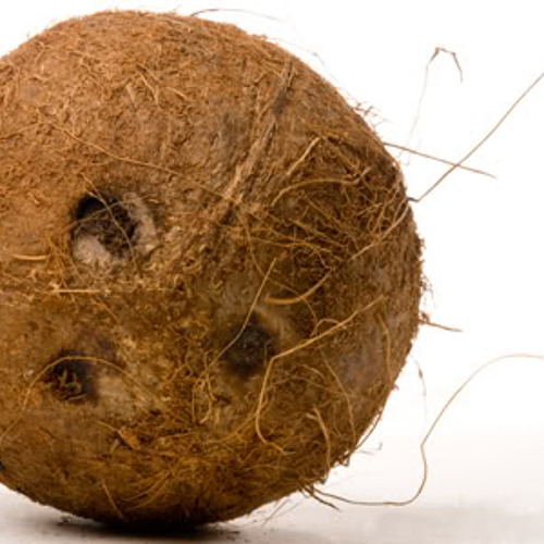 Wallace - Coconut swing