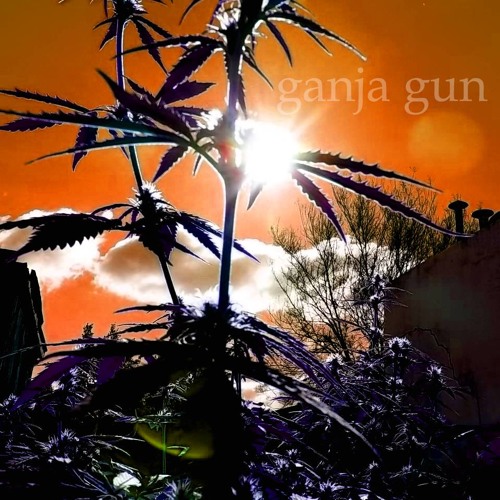 Stream Bob Marley- Ganja Gun by Indicalivia21 | Listen online for free on  SoundCloud