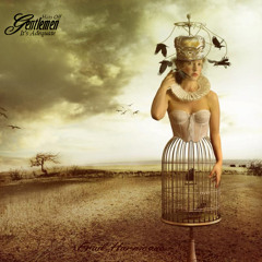 Frail Hurricane (Frail Hurricane EP) MP3