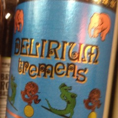 Musik at Le Frak Gymnasium