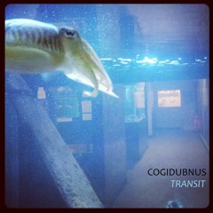 Cogidubnus & Sipp - Clockwork Orchid