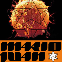 InSituRecords feat. Mario J.One (Mandiyu.Ra)