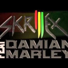 WIP: Skrillex and Damian Marley - Make It Bun Dem (Tolgar Remix)