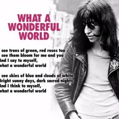 Sheena Is A Punk Rocker - (Ramones) by Gary Sunshine