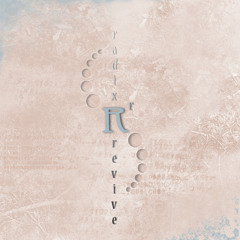 Radix Revive - Black Ice from s/t EP