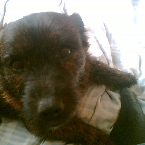 Very old - Strange feelings