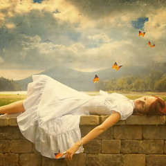 A Summers Dream (original)