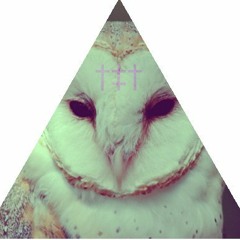 Owl Disco Mix
