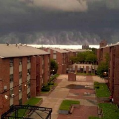 Inkredible 3 ft jaffie and krakk