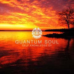 A. Quantum Soul - Dubulation (Out Now On Self Knowledge EP Tribe12 Music LTD 8th October 2012)