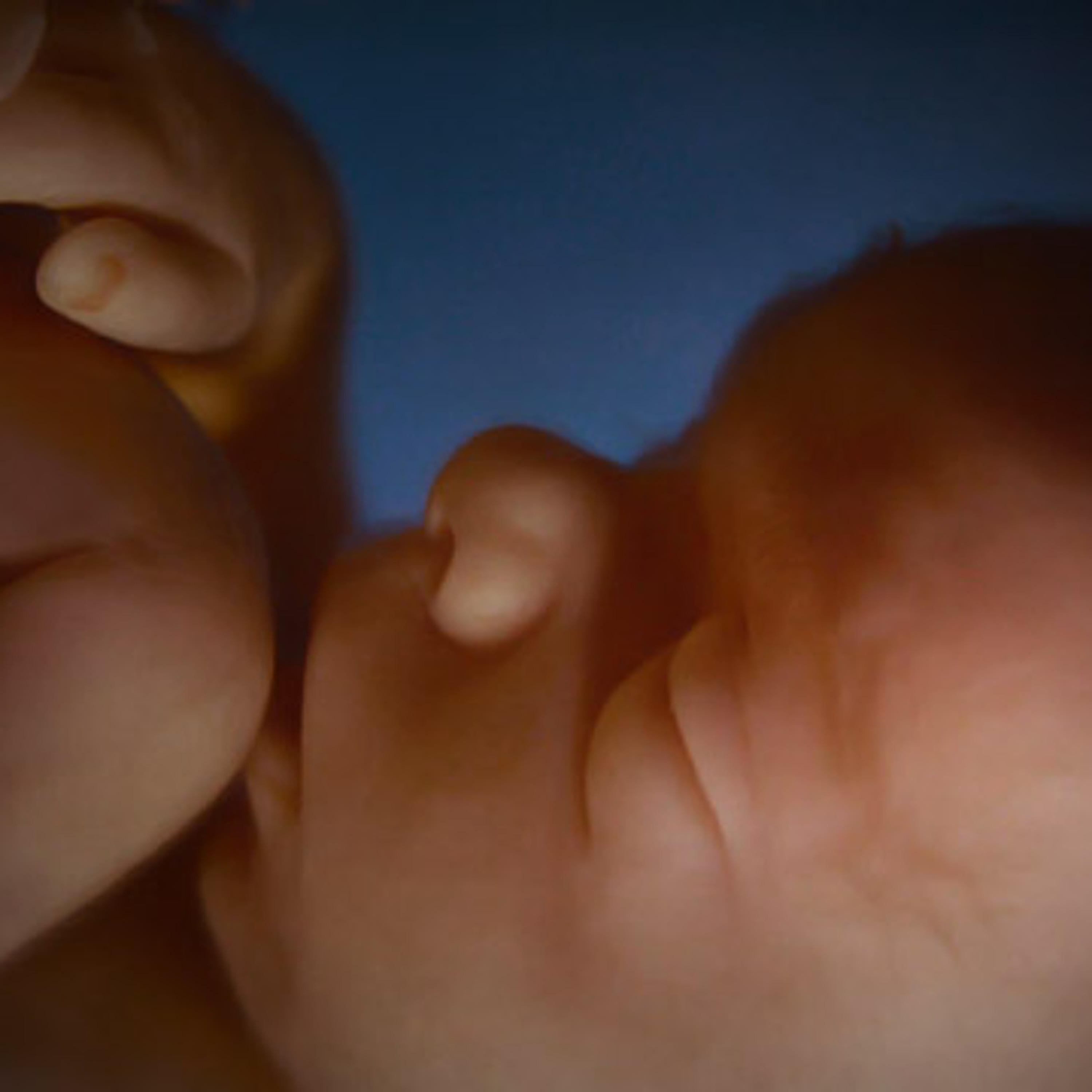 AV.25: Estudo do documento "Nova Estratégia Mundial do Aborto" episode artwork