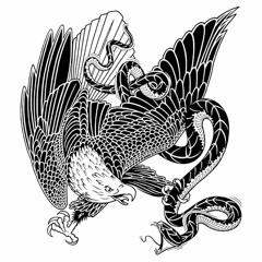 VS Dub-All Waters (Akira Urashibara Remix)