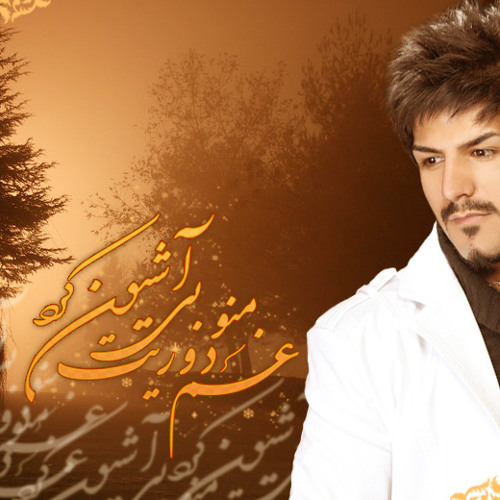08 Majid Kharatha - Nefrin