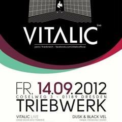 RADIO-SPOT: VITALIC LIVE! + Norris Terrify B-DAY at Triebwerk Dresden, DE  // 2012-SEP-14.