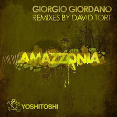 Giorgio Giordano - Amazzonia (David Tort Remix) (Free Download In Description)