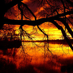 Mute-Opia - Rising waves -