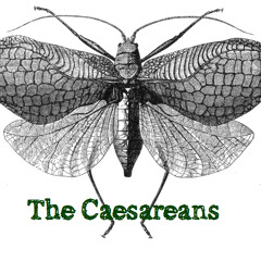 The Caesareans: Mandy - Cricket Sessions DEMO.mp3