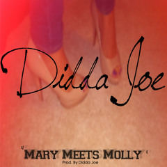 Didda Joe - Mary Meets Molly
