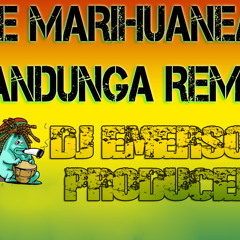 Se Marihuanea Zandunga Dj Emerson Producer Xclusive