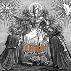 Behemoth - Ov Fire And The Void Drum Cover by Stefano Reynoldz Brognoli