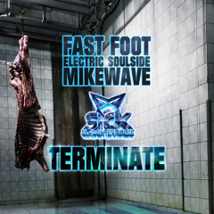Fast Foot, Electric Soulside, MikeWave - Terminate - Original Mix