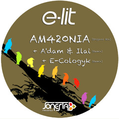 E-Lit - AM420NIA (E-Cologyk Remix)