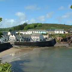 Witness the Fitness!