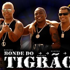 Bonde do Tigrao - Treme Treme o Bum Bum  ( ( ( Dj Baum Bifee ) ) )