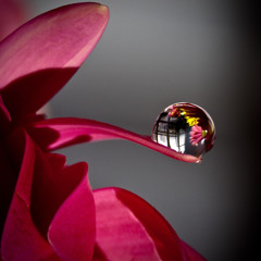 مااكلك - أحمد الساعدي