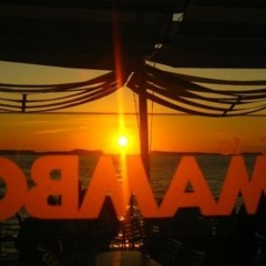 Mambo del Politecnico (WildBass Remix )