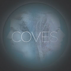 No Ladder (TOY remix) - Coves (Free Download)