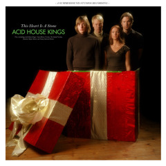 Acid House Kings - This Heart is a Stone (Dominic Mayer Remix)