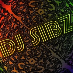 DJ Sibz - Somewhere There