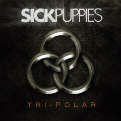 Sick Puppies - You're Going Down (David GNR)