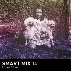 Smart Mix 14: Duke Shin