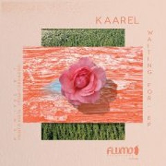 kaarel - you make me feel [eric volta & sebastian voigt remix]