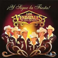 Los Vendavales- Aguita De Melon <3